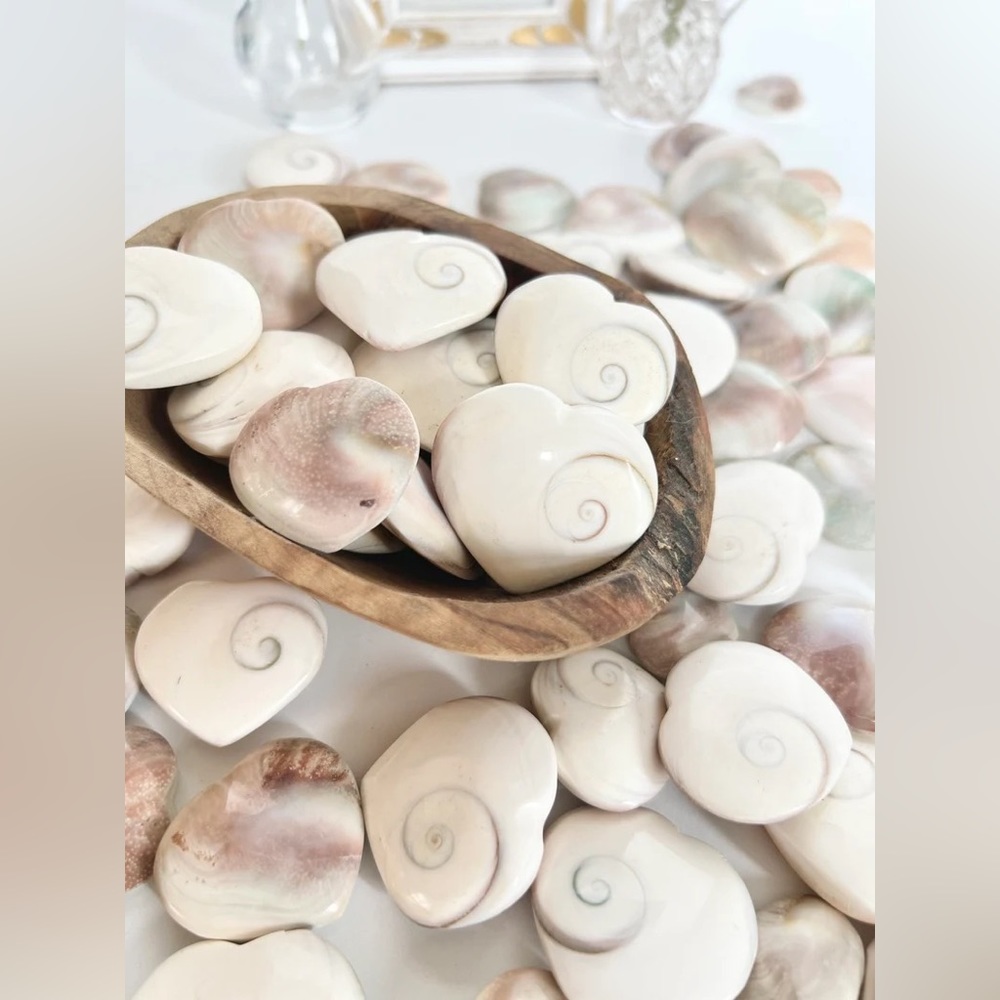 One Shiva Heart Shell Pastel - Picture 6 of 9